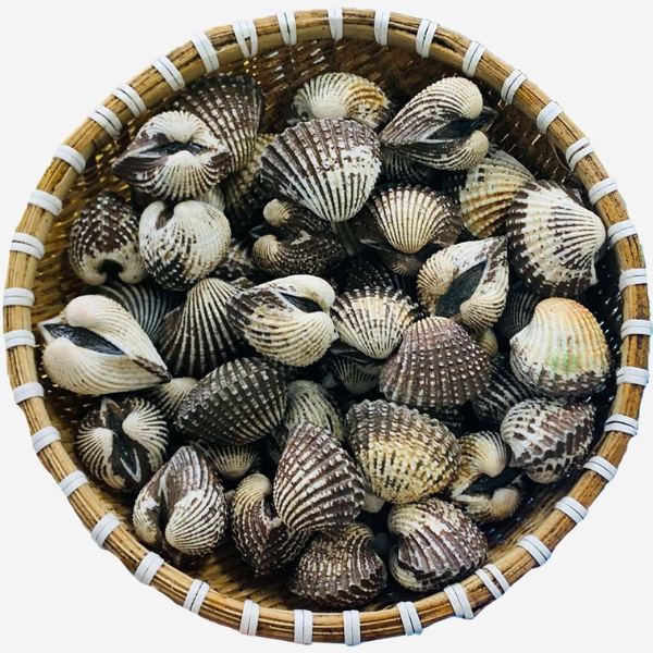 Sò huyết giá sỉ