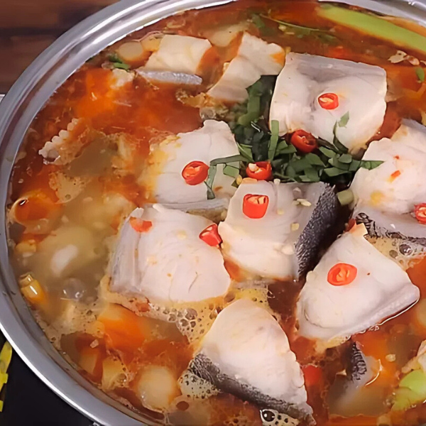 Cá bớp giá sỉ 