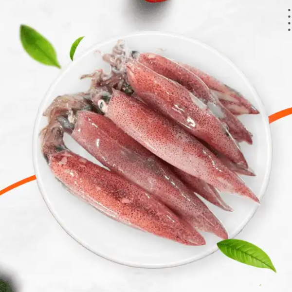 Mực cơm và mực trứng giá sỉ