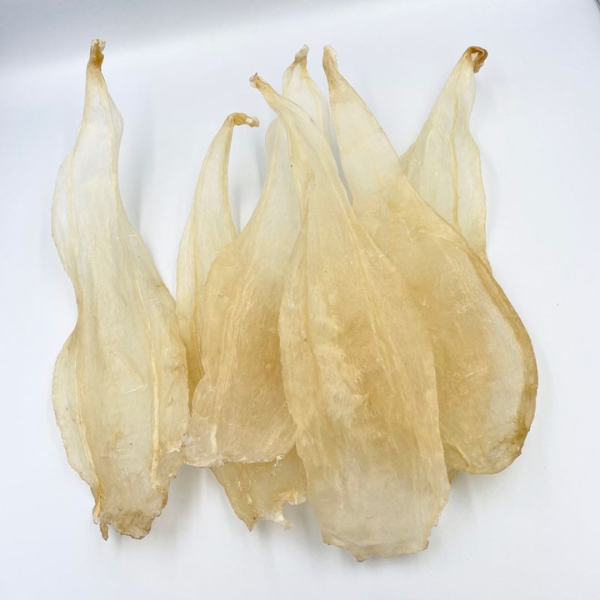 bóng Cá sủ vàng giá sỉ
