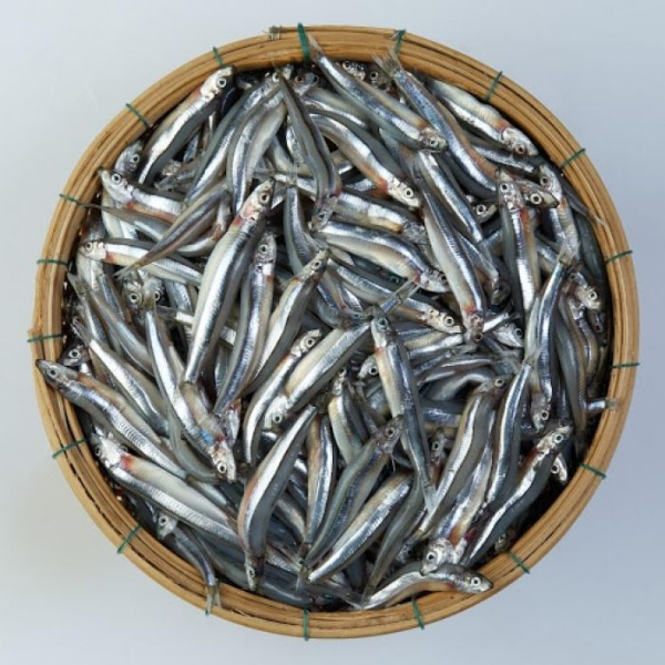 Cá ruội khô ngon chất lượng