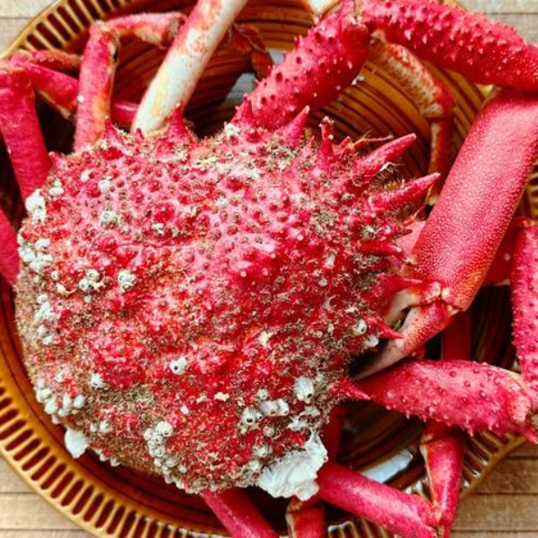 Cua nhện giá sỉ 