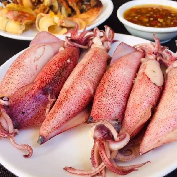 mực trứng giá sỉ