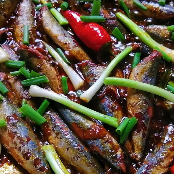 cá nục xanh giá sỉ