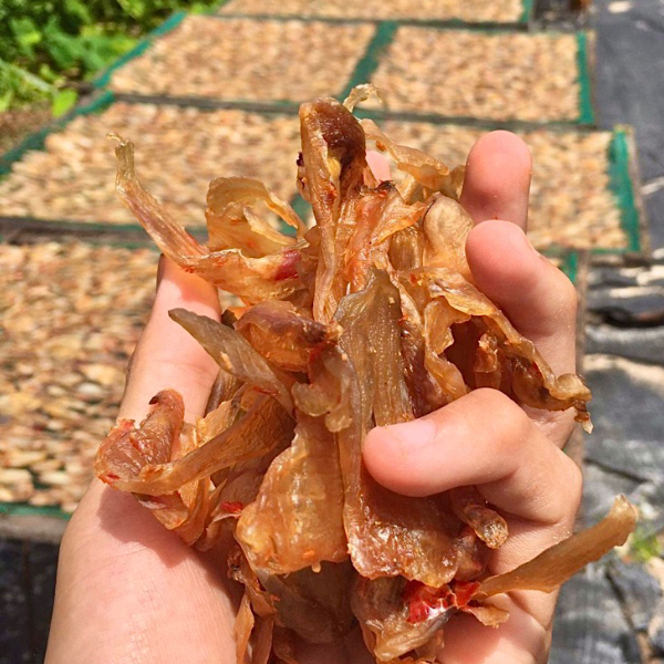 khô ốc móng tay ngon