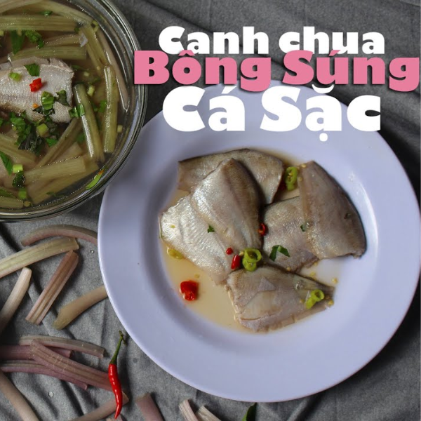 Cá sặc tươi giá sỉ