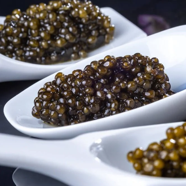 trứng cá tầm đen Caviar giá sỉ