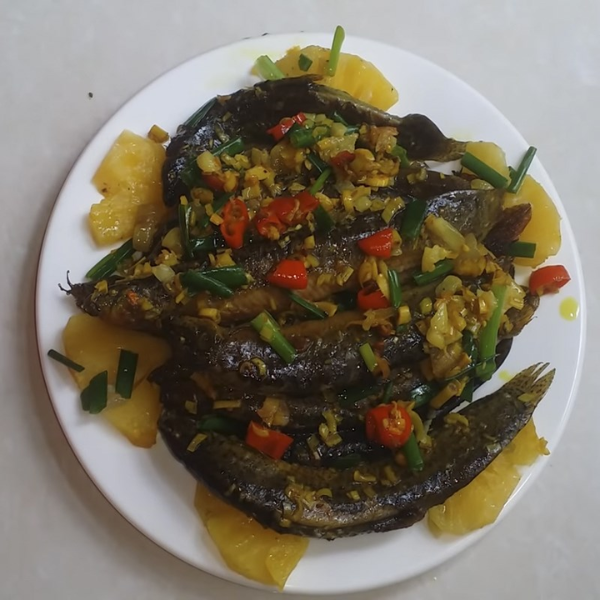 Cá chạch quế giá sỉ