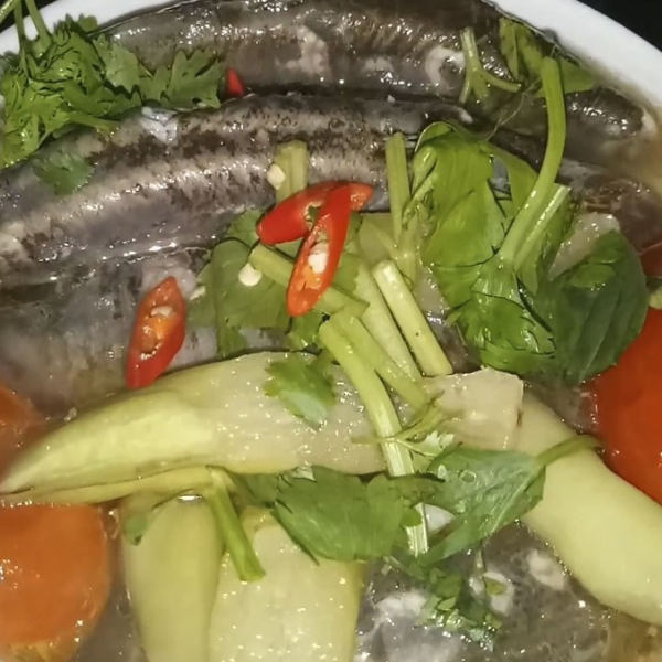 Cá chạch giá sỉ